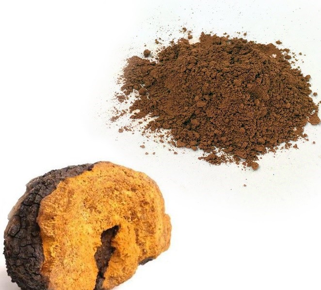 Dried chaga mushroom powder.jpg